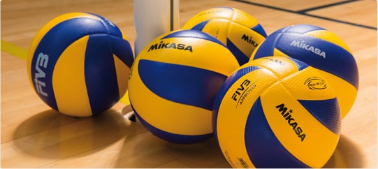 Ballons de volley-ball