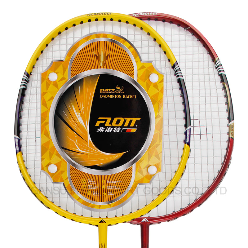 Paire Raquettes De Badminton Et 3 Volants, Sac De Transport FBR-0529